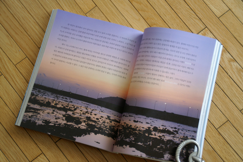 사용자 삽입 이미지